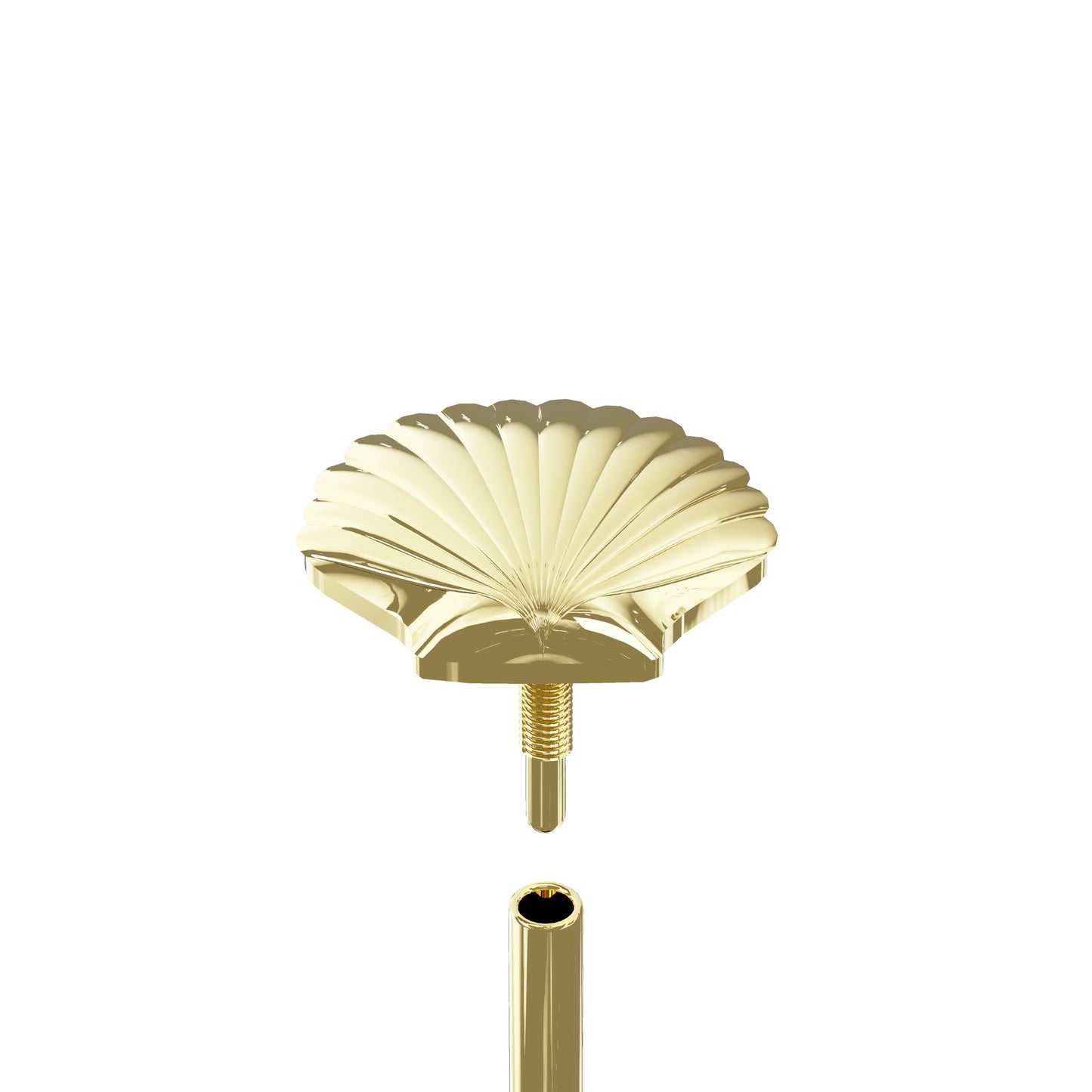 KOCHIA 14K Solid Gold Seashell Flat Back Stud